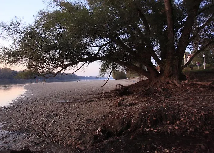 בית הארחה Part Cafe 3*